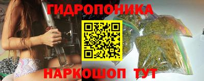 прущие крисы Шахты
