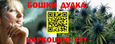 гашик Ярославль